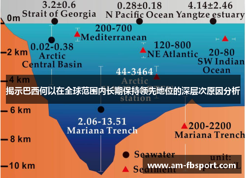 揭示巴西何以在全球范围内长期保持领先地位的深层次原因分析 揭示巴西何以在全球范围内长期保持领先地位的深层次原因分析