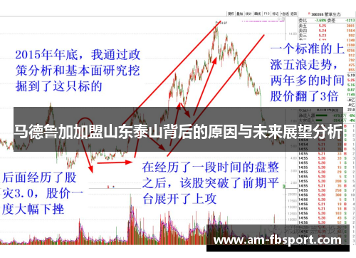 马德鲁加加盟山东泰山背后的原因与未来展望分析 马德鲁加加盟山东泰山背后的原因与未来展望分析